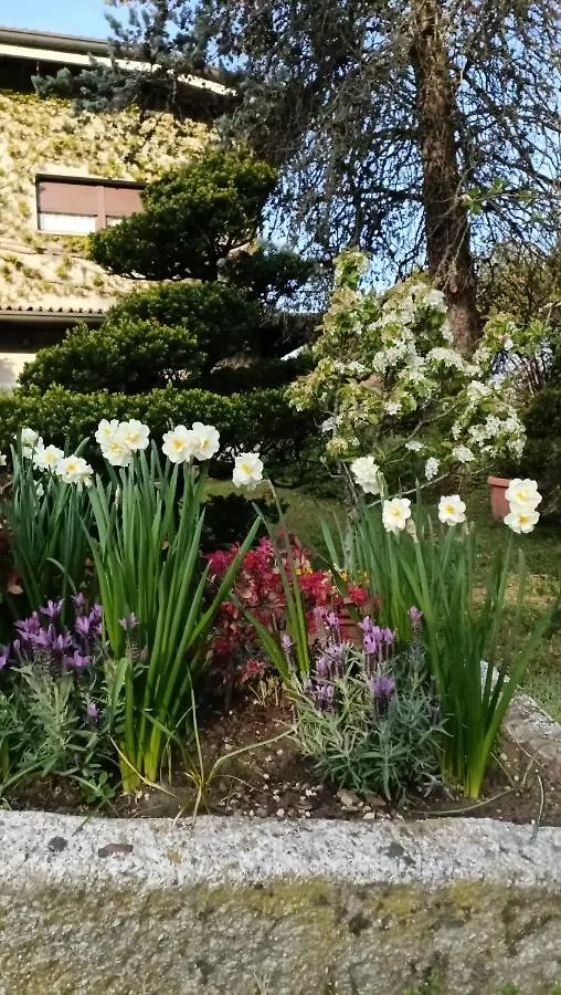 Chez Queen B&B Lurate Caccivio